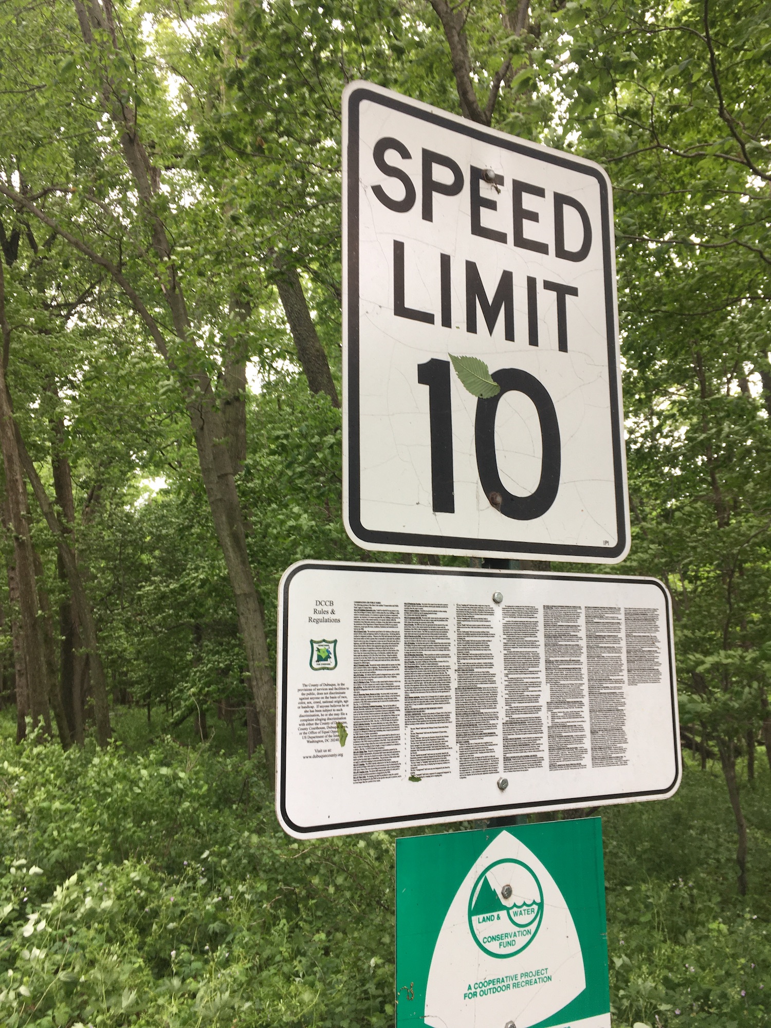 Two signs are on the same post. On top: SPEED LIMIT 10. On bottom: a wide rectangular sign about the same size as the speed limit one, but with tiny tiny lettering that spells out every rule for the conservation area in at-largest six point font