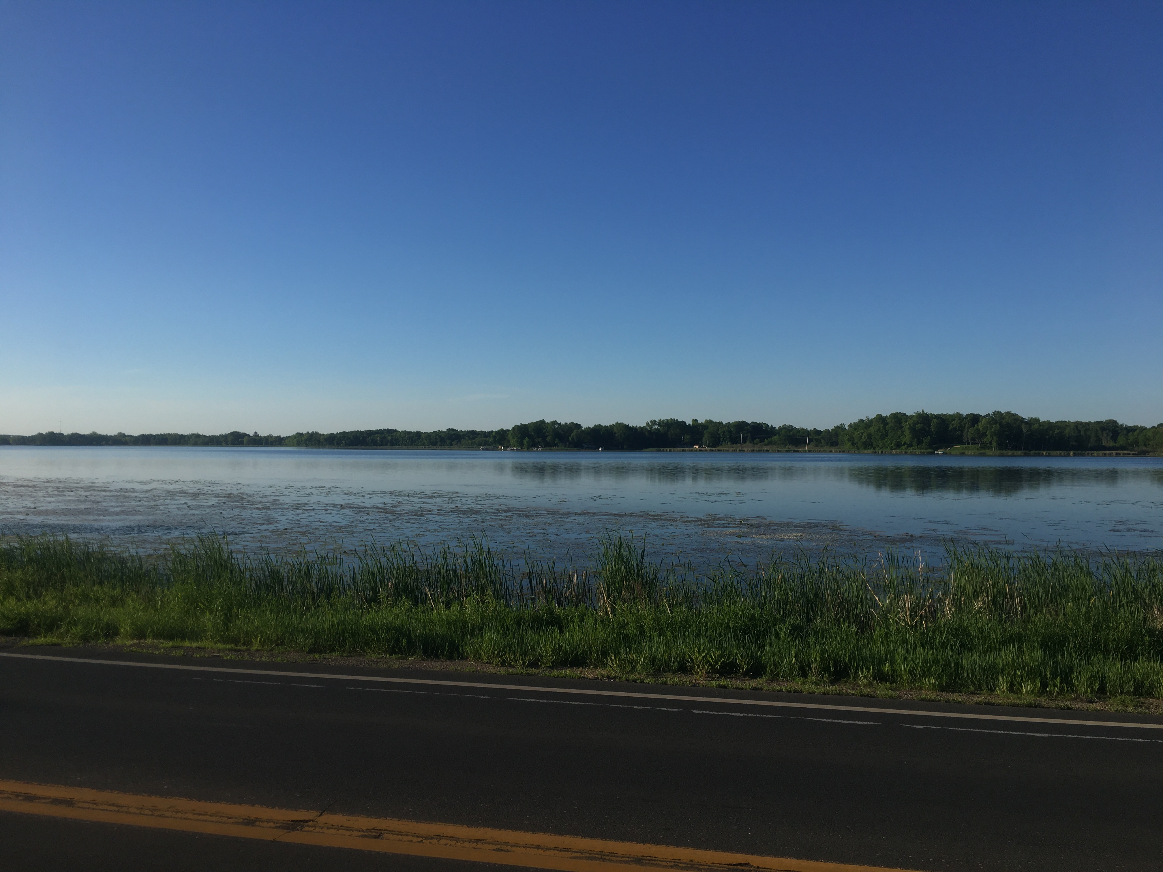 A wide open expanse of river
with miscellaneous grasses and greenery in the shallows. It's visible
behind a two-lane road, with gentle hills and a blue sky in the background