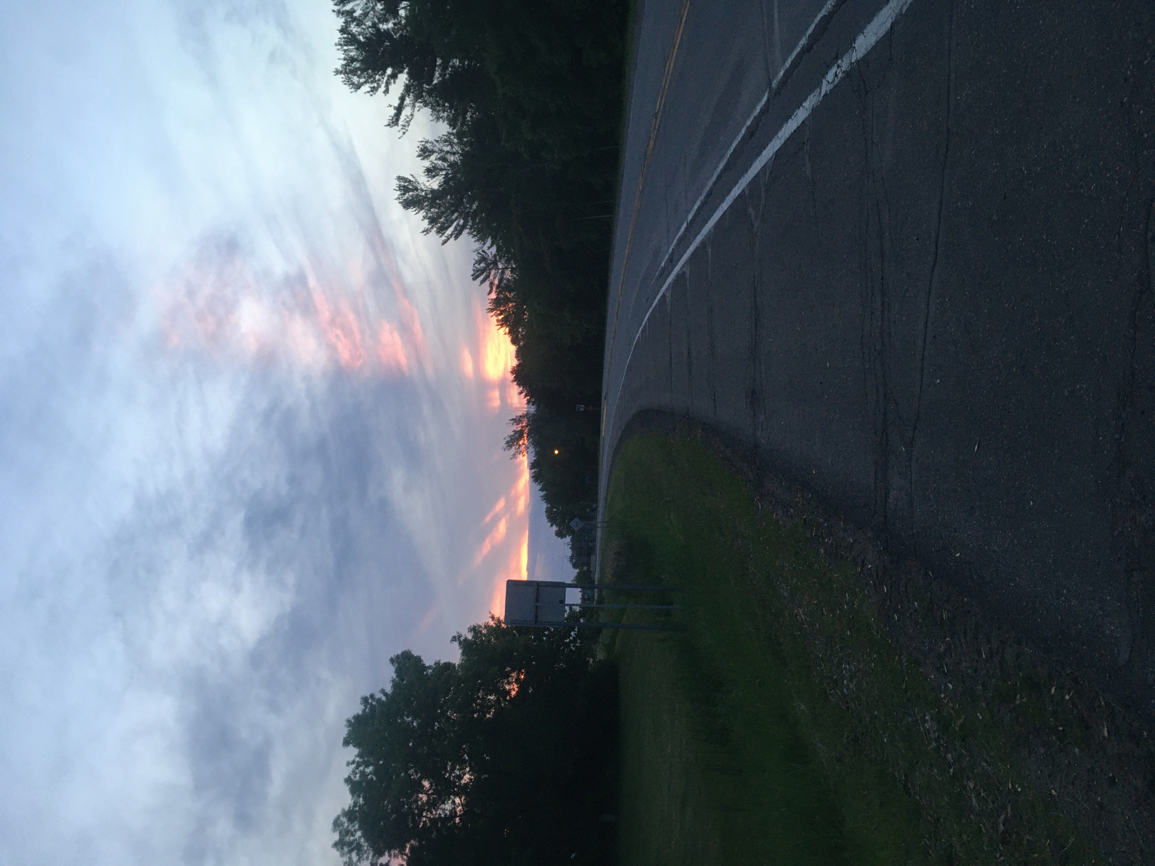 A road bends into the
distance, with trees on either side and a sunset illuminating the underside
of some wispy clouds.