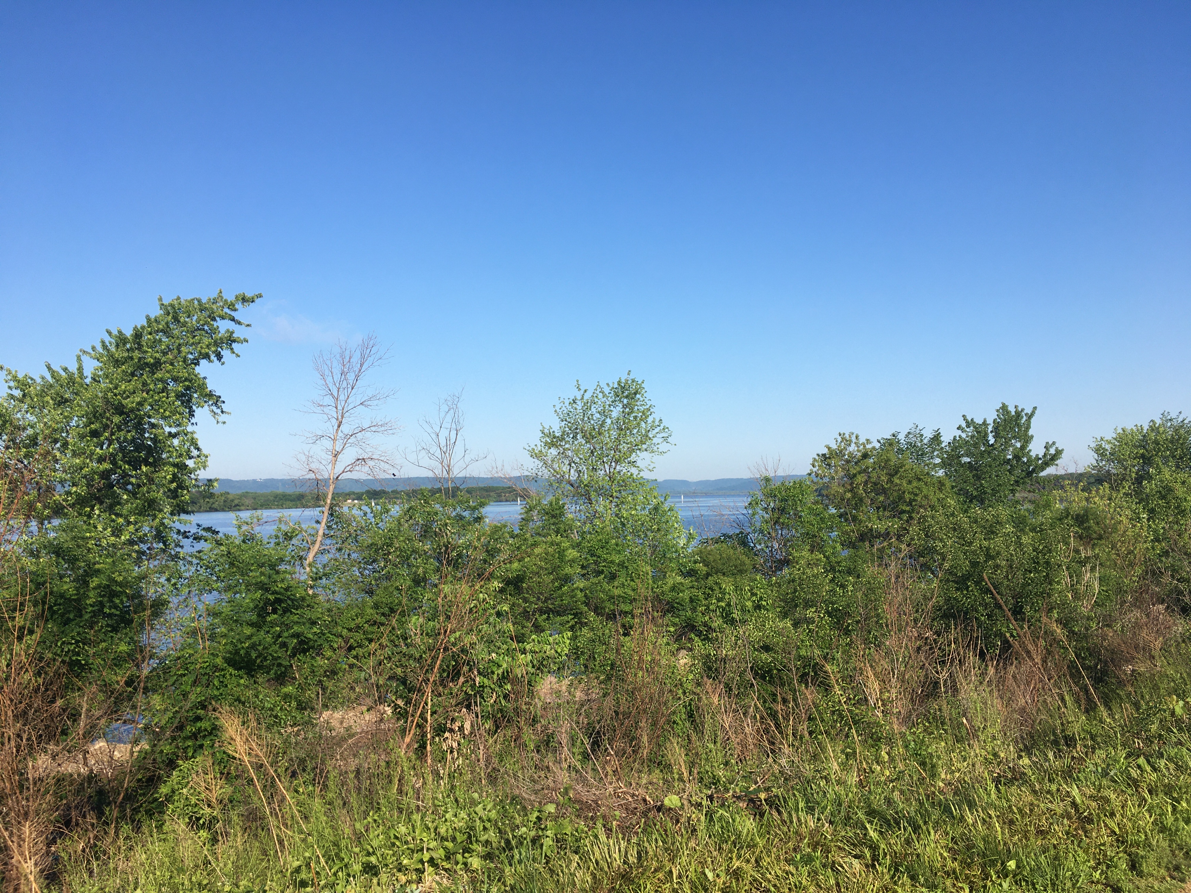 View of the river, through miscellaneous greenery and with two rows of forested hills on the other shore