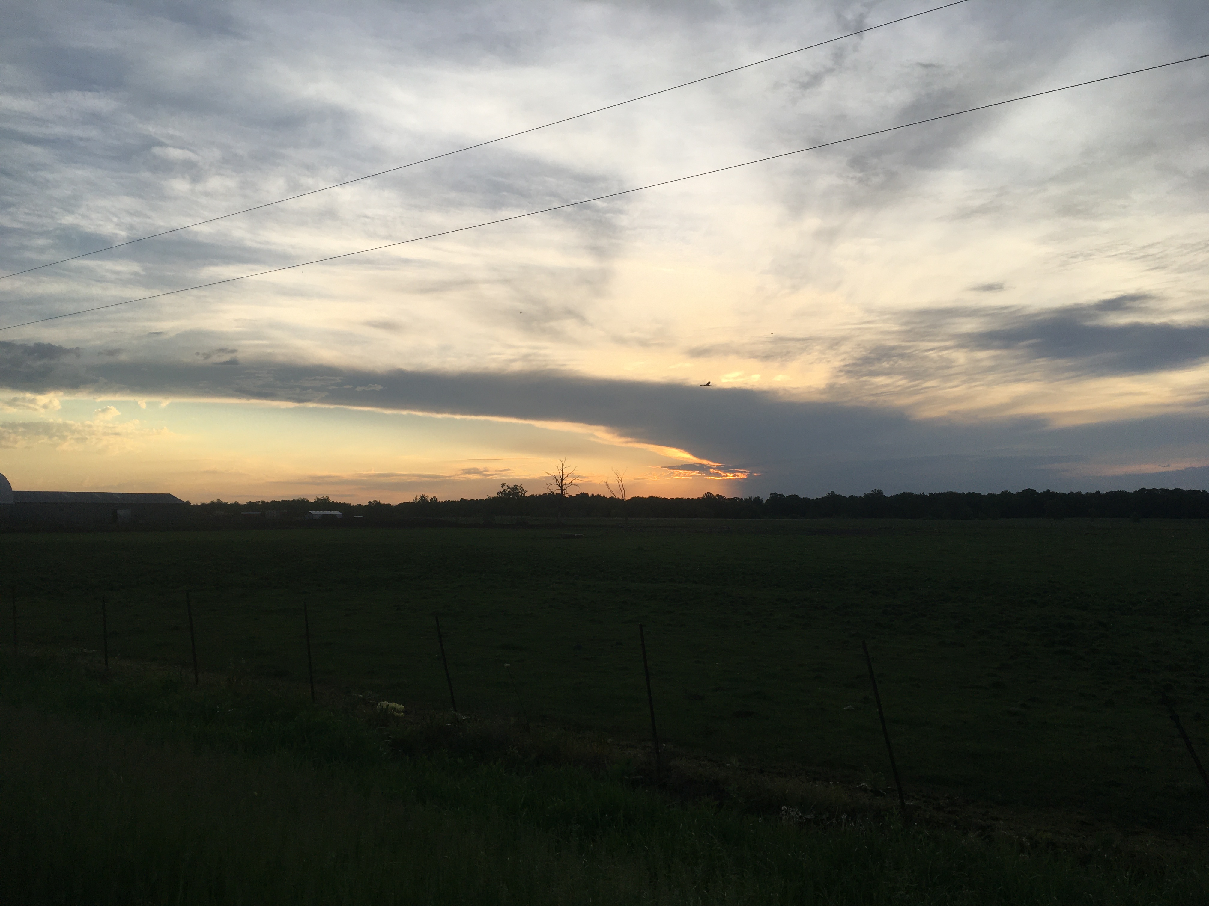 Sunrise in rural Minnesota. Clouds arch across the sky, which ranges from very pale blue to a pastel orange