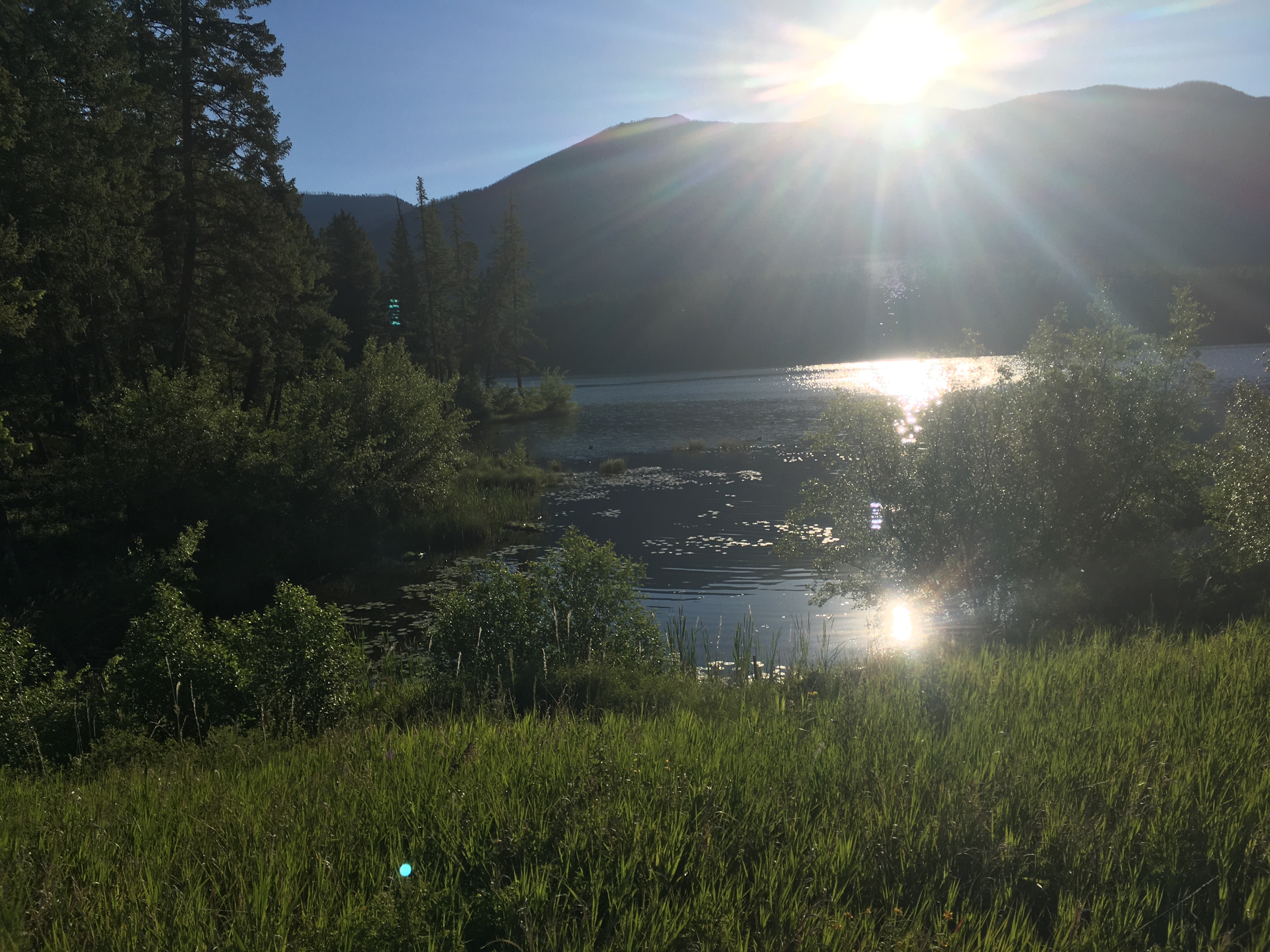 A lake with mountains and
blazing sun in the background, with grasses in front.