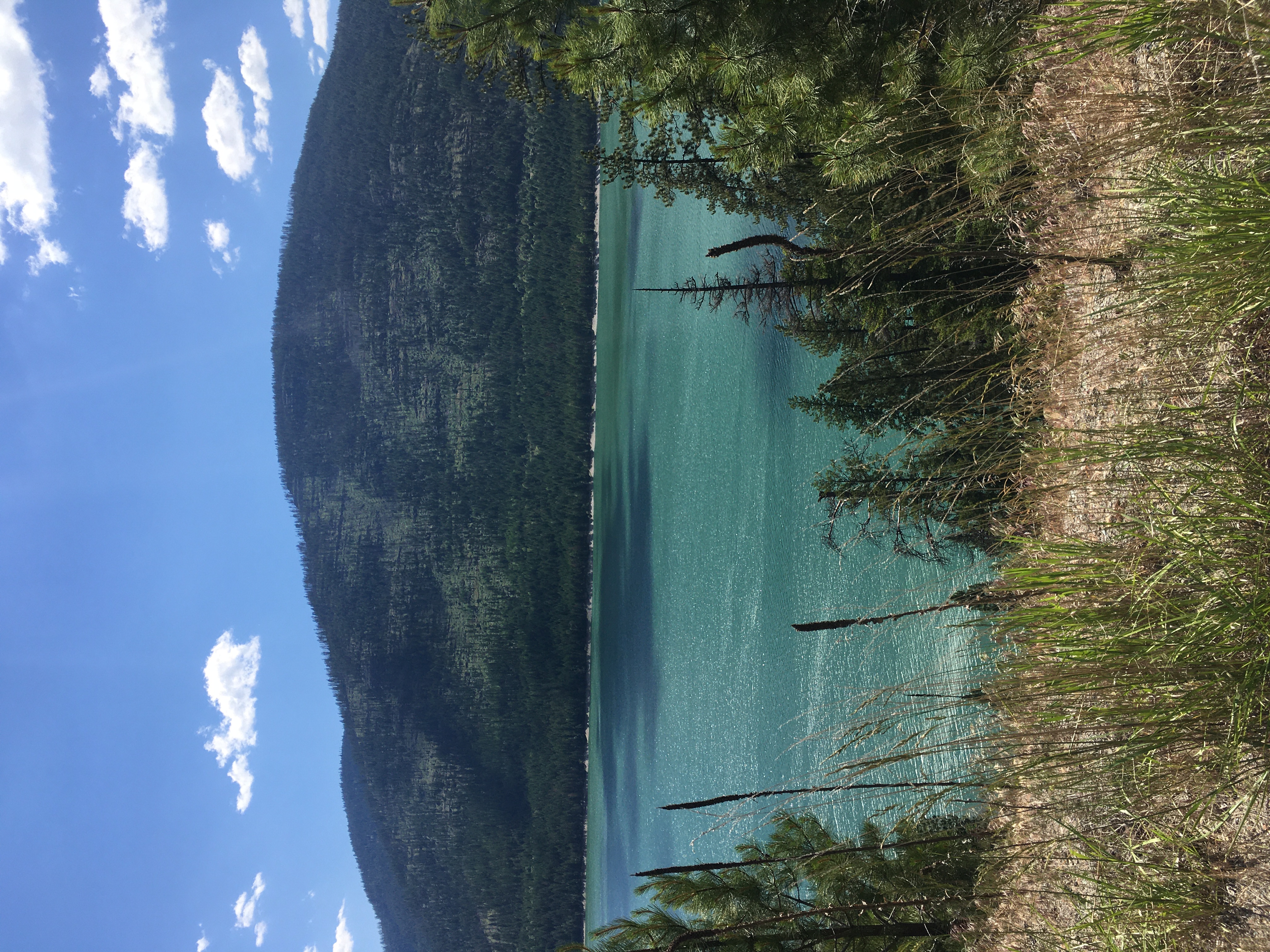 A teal lake with a large hill
in the backgroundn that looks like it was struck by wildfire in the last
few years. Clear blue sky with a couple fluffy clouds, and grasses and
trees in the foreground