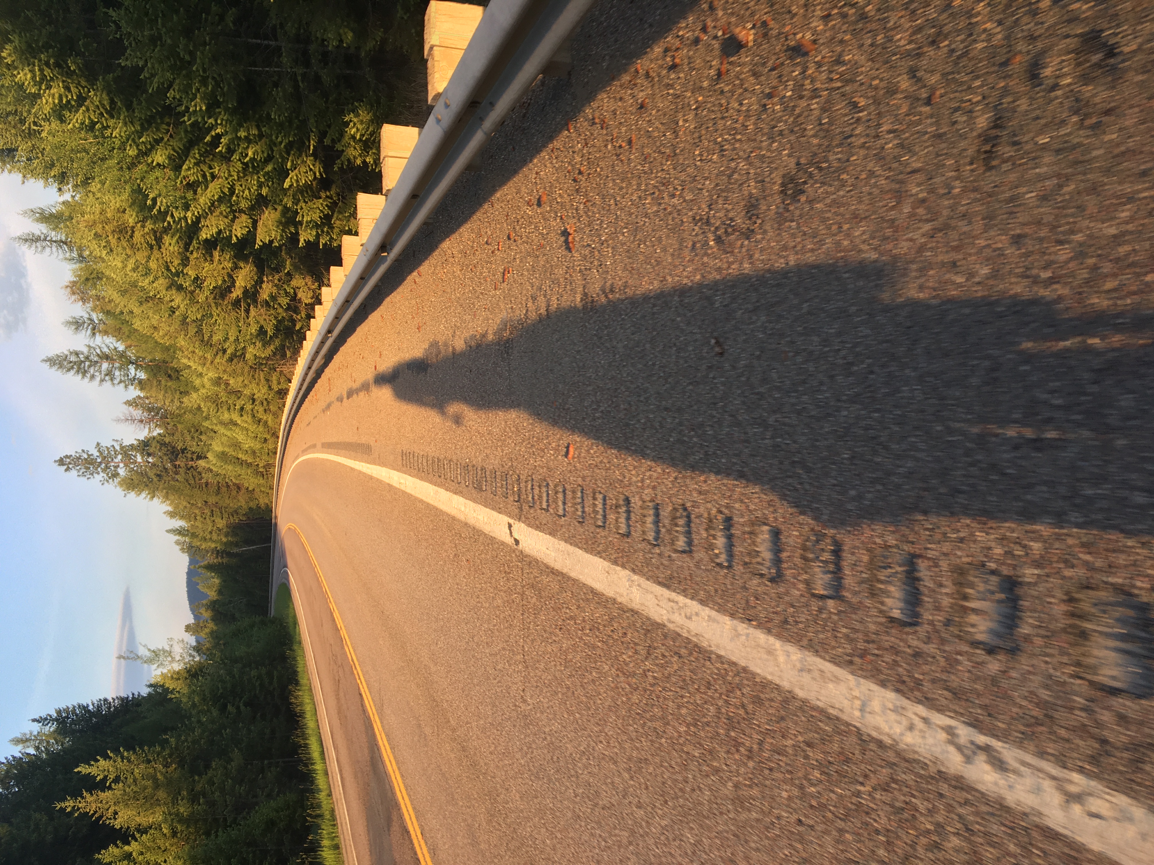 A road bends into the distance
with trees on either side. In the center of the frame is the shadow of Zeph
on their bike, extending quite far in the early morning light.