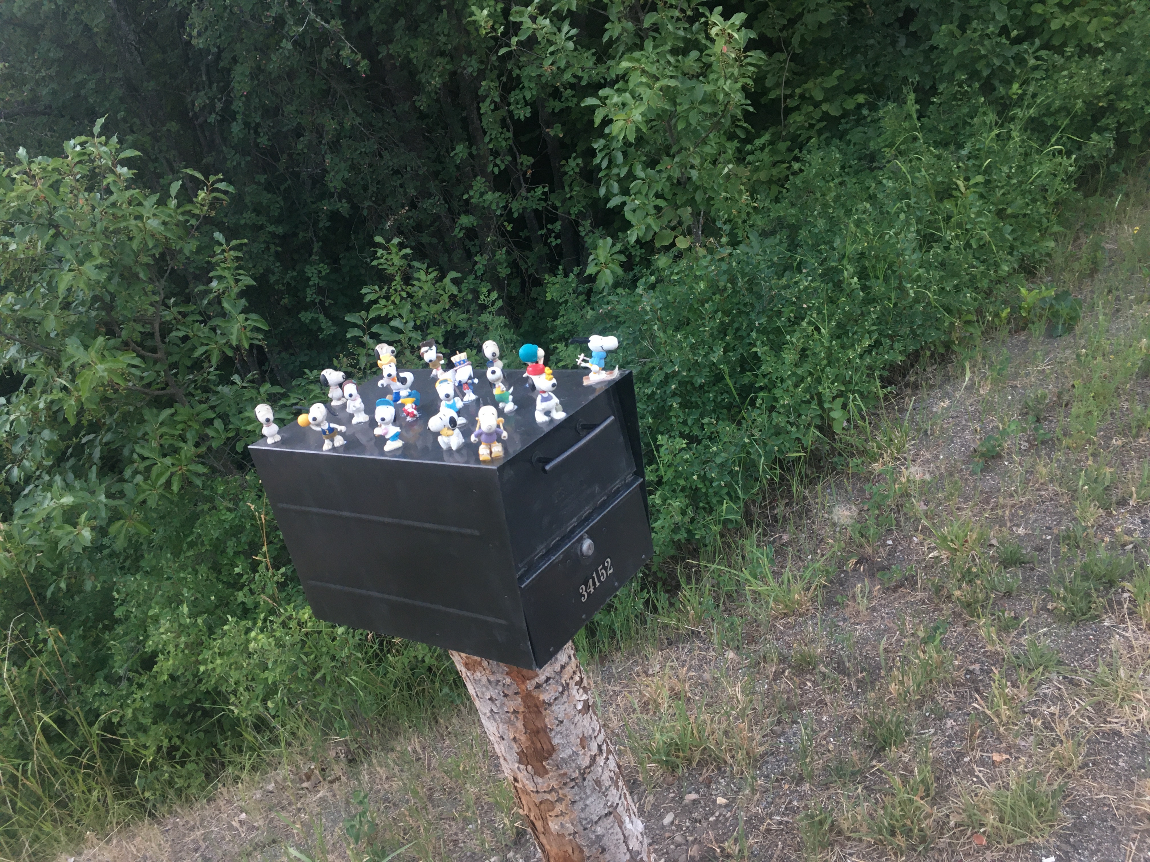 A mailbox has a dozen or so
smurf models on it, for Reasons(TM)