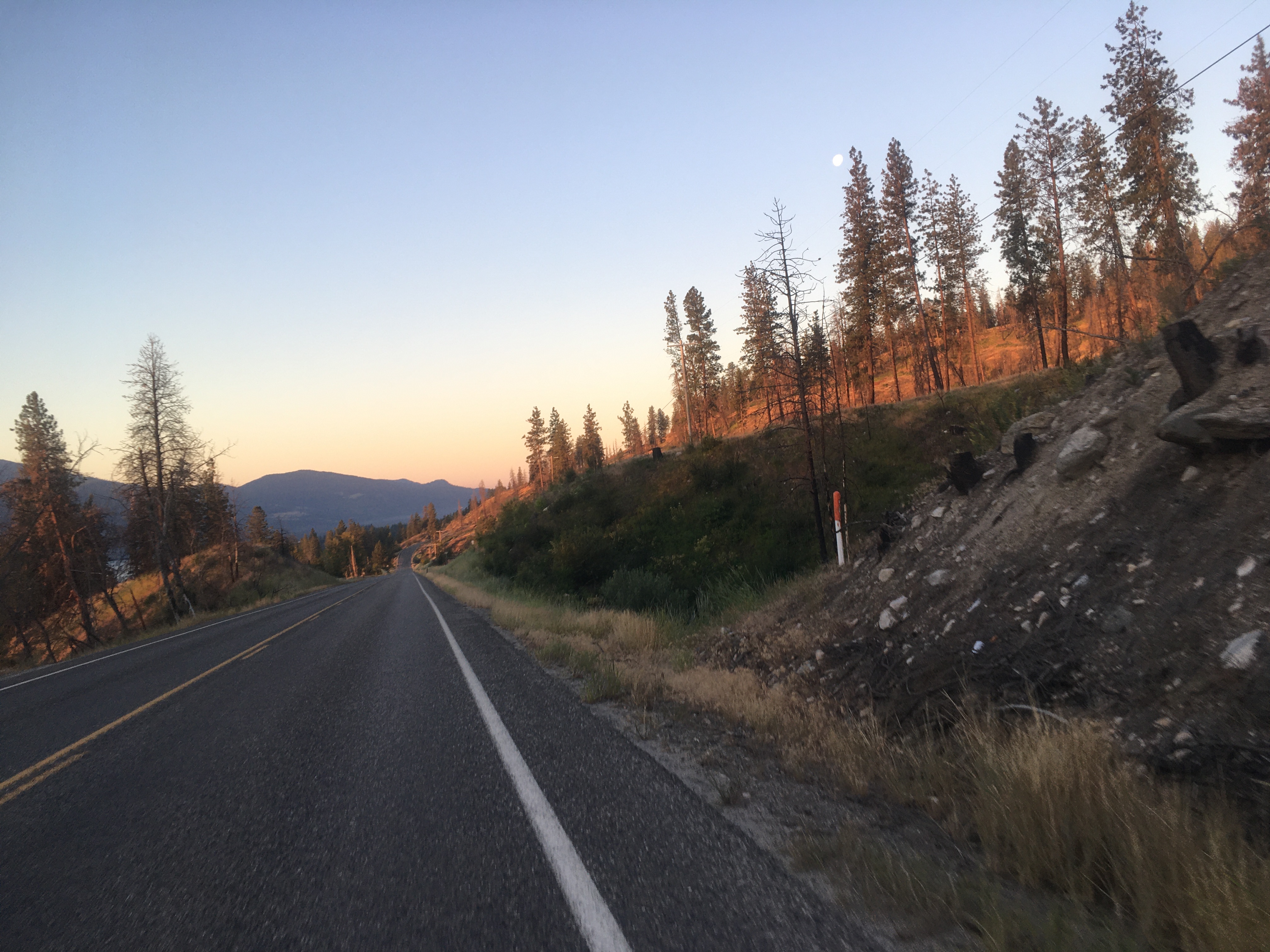 Golden dawn light
side-illuminates the trees around a road fading into the distance, with
hills and a gradient-colored sky in the background